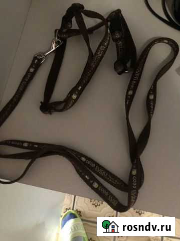 Шлейка Новороссийск - изображение 1