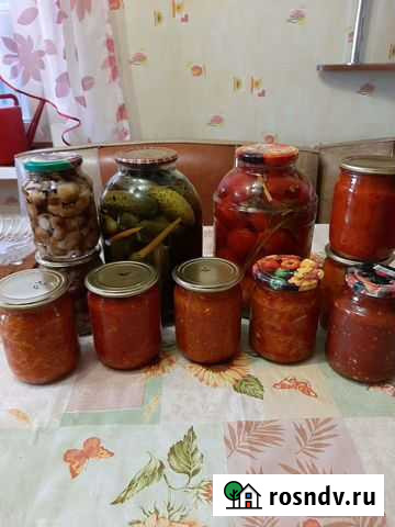 Соленья домашние Канск - изображение 1