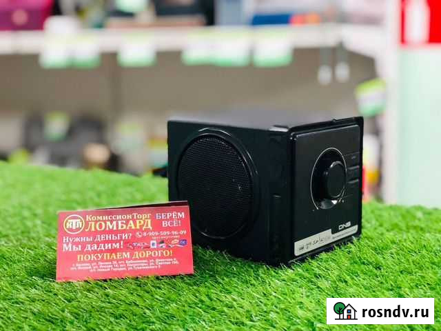 Портативная колонка DNS AP-236 Белово - изображение 1