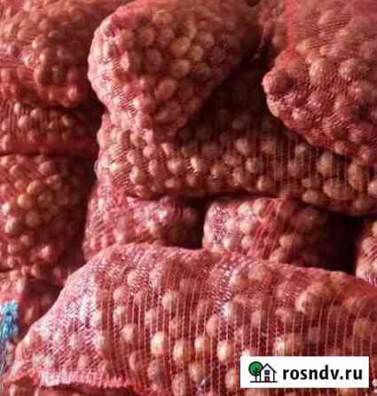Крупный картофель 5+. Гала Канск