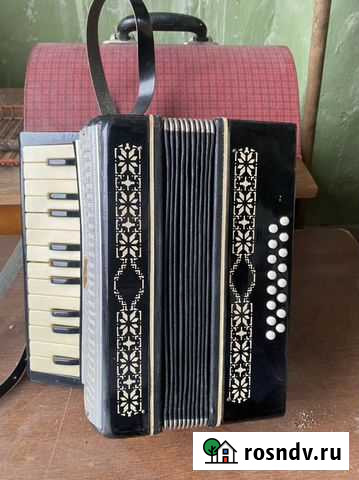 Аккардеон «Малыш» Вольск - изображение 1