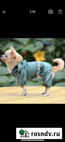 Одежда для собак Череповец - изображение 1