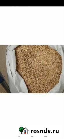 Овес Пласт - изображение 1