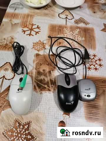 Мышка Ижевск - изображение 1