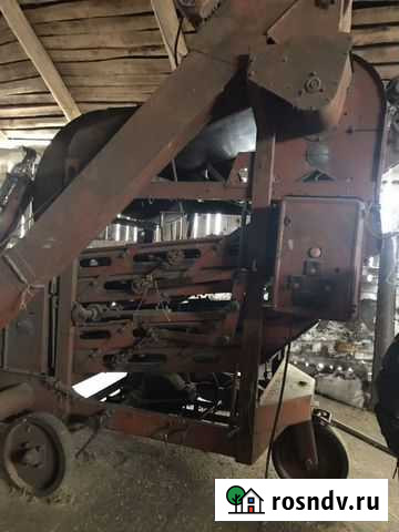 Овс 25 Раевский - изображение 1