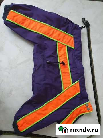 Комбинезон весна для щенков Великий Новгород - изображение 1