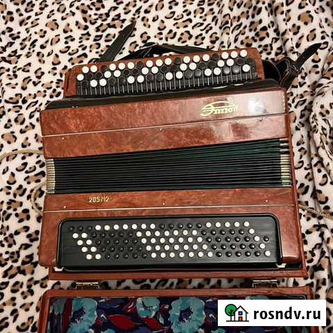 Баян Санкт-Петербург - изображение 1