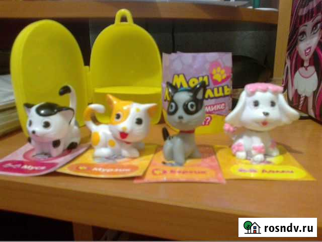 Котята, щенки, питомцы Кто в домике живёт Красноярск - изображение 1