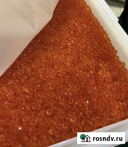 Красная икра Горбуша, Кета цена до 19.12 Мурино - изображение 1