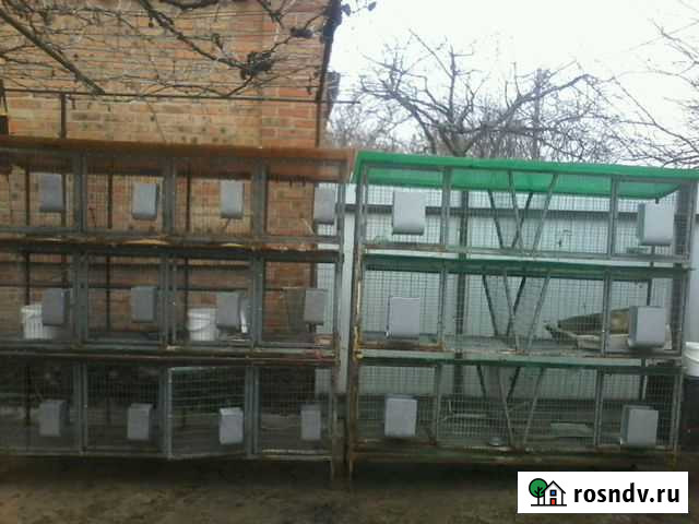 Клетки для кроликов шедовые Батайск - изображение 1