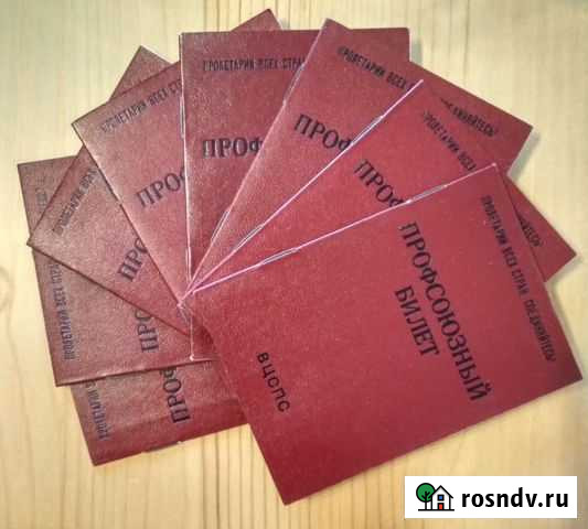 Профсоюзный билет Балашиха - изображение 1