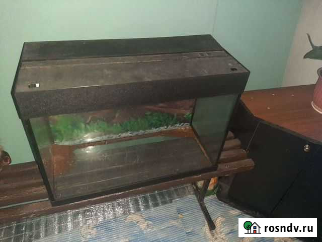 Аквариум Пушкино - изображение 1