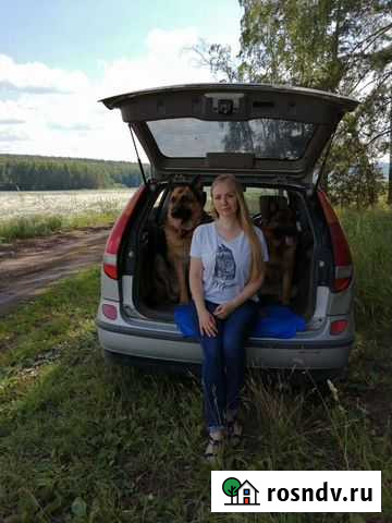 Кинолог, зоопсихолог. Выездные занятия Екатеринбург - изображение 1