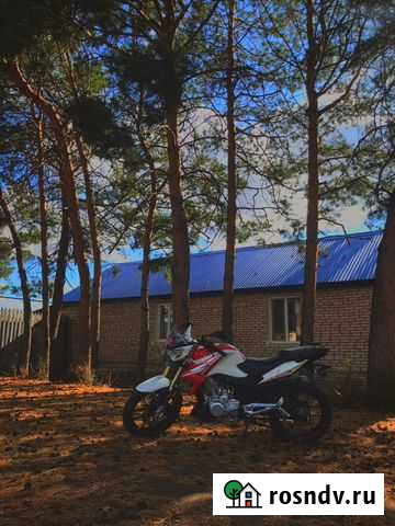 Зонгшен з1 Сорочинск - изображение 1