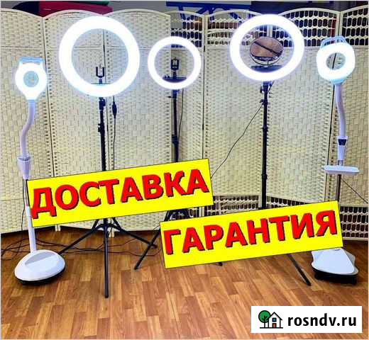 Кольцевая лапа Майкоп - изображение 1