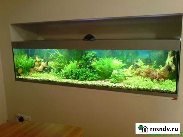 Установка, оформление, обслуживание аквариумов Каменск-Уральский - изображение 1