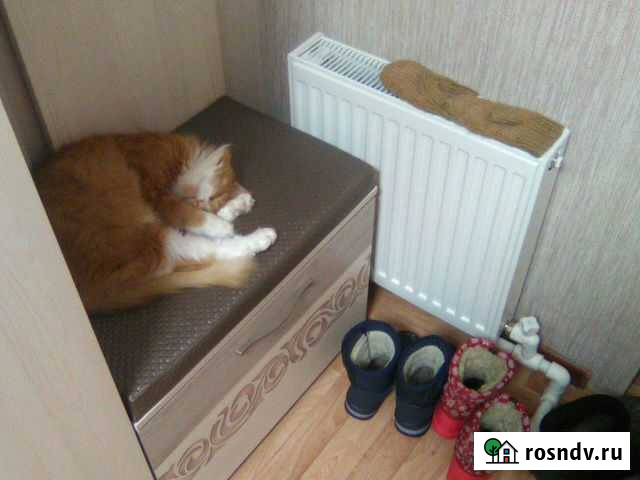 Все виды сантехники Кунгур - изображение 1