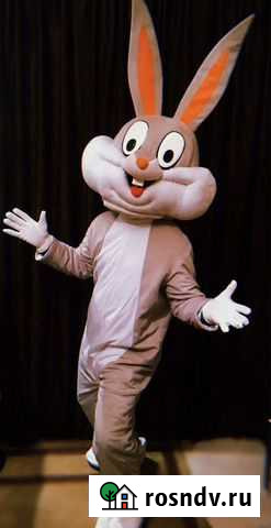 Ростовая кукла.Костюм заяц.Аренда.Детский праздник Гатчина - изображение 1