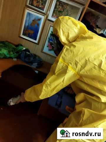 Дезинфекция от тараканов и клопов Санкт-Петербург - изображение 1