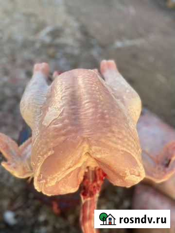 Мясо индюка халял цена за 1 кг Лог - изображение 1