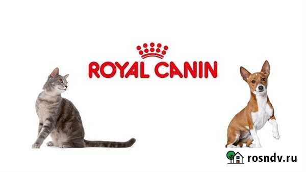 Корм Наро-Фоминск - изображение 1