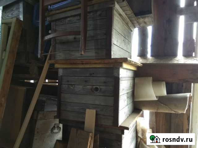 Улья Балезино - изображение 1