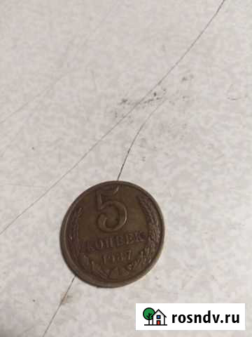 Монеты 5 копеек 1987 Железногорск - изображение 1