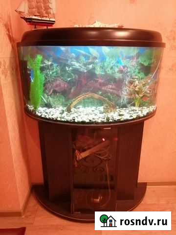 Аквариум с тумбой Астрахань - изображение 1