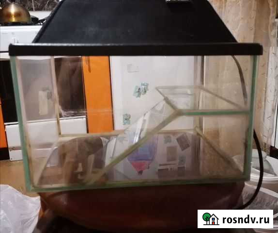 Черепашатник Пенза - изображение 1