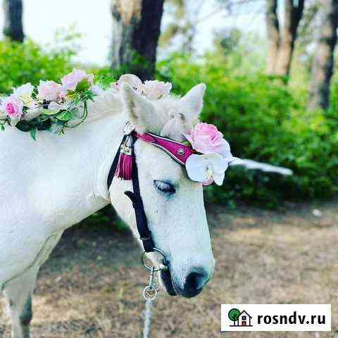 Городской прокат Краснодар