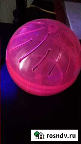 Шар для грызунов Череповец - изображение 1