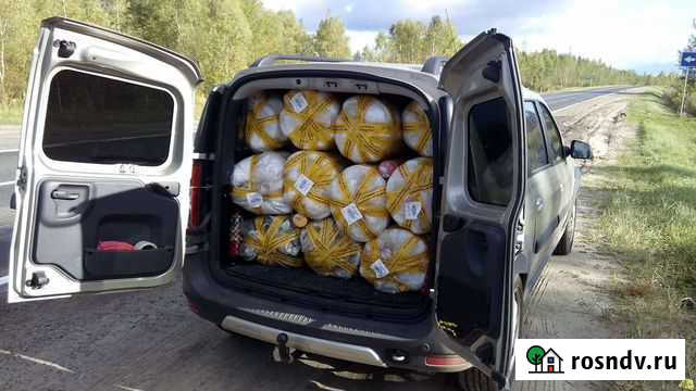 Перевозка грузов Обнинск - изображение 1