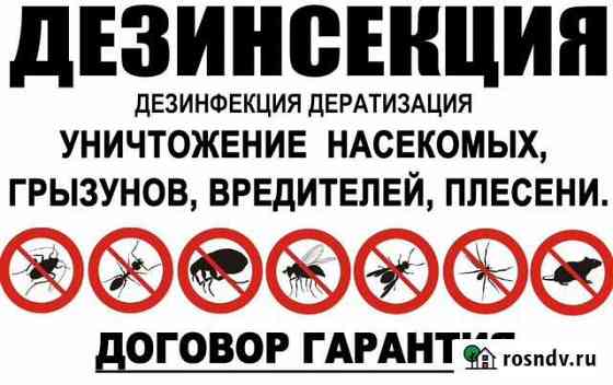 Уничтожение муравьев, тараканов, клопов, мышей Арзамас