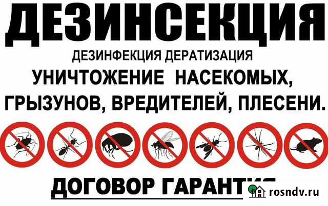 Уничтожение муравьев, тараканов, клопов, мышей Арзамас - изображение 1