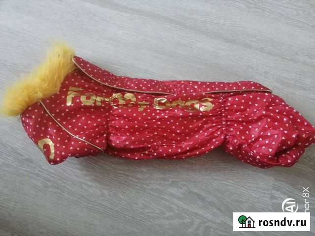 Комбинезон на таксу Озерск - изображение 1