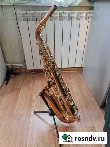 Саксофон альт yanagisawa Сухой Лог - изображение 1