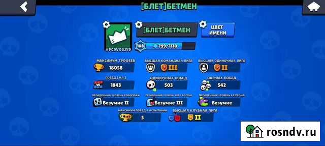 Тренер Brawl Stars Ярославль - изображение 1