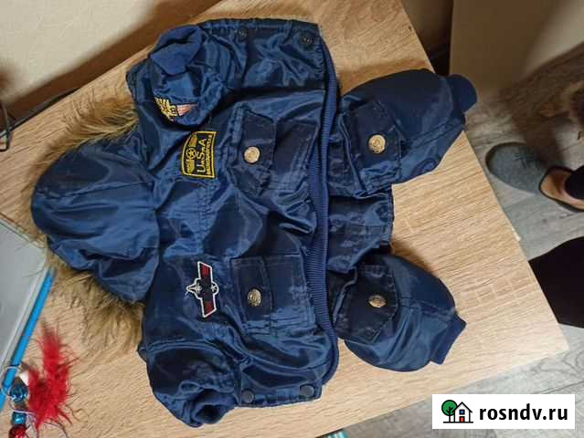 Комбинезон зима новый Череповец - изображение 1