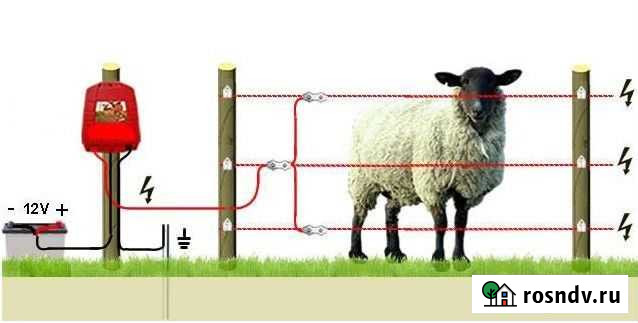 Изолятор для электропастуха по дереву Камышла - изображение 1
