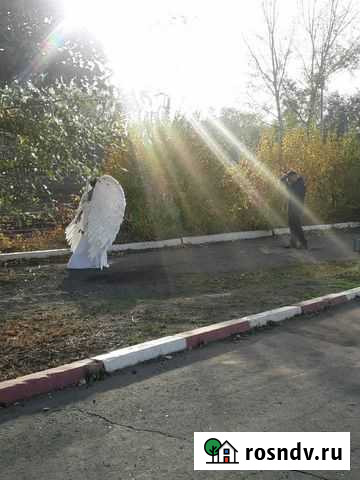 Крылья Ангела в аренду Оренбург - изображение 1