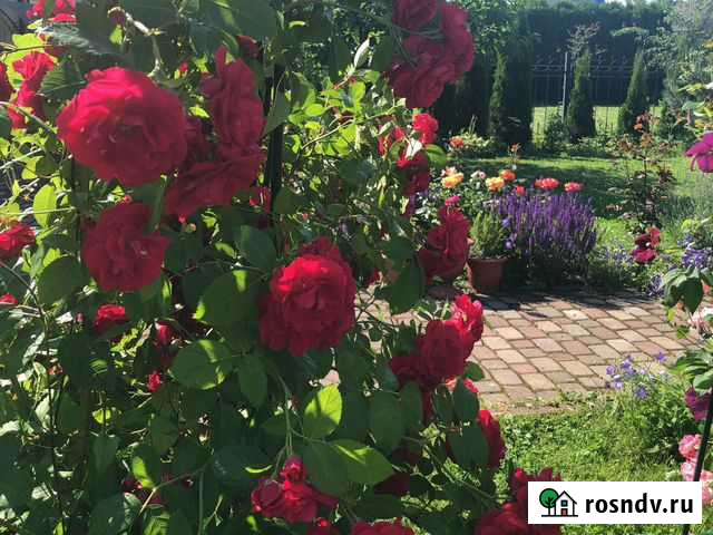 Ландшафтный дизайн Череповец - изображение 1