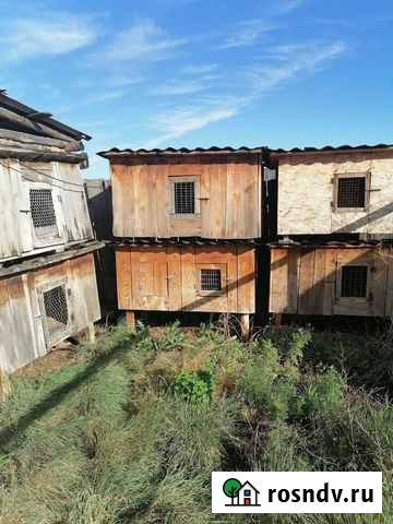 Клетки для кроликов Увельский - изображение 1