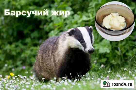 Барсучий жир Псков