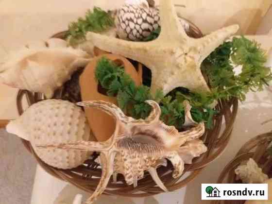 Ракушки Красково