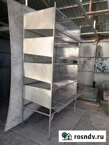 Клетки для перепелов Сызрань - изображение 1