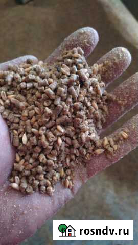 Комбикорм для кур-несушек, бройлеров Златоуст - изображение 1