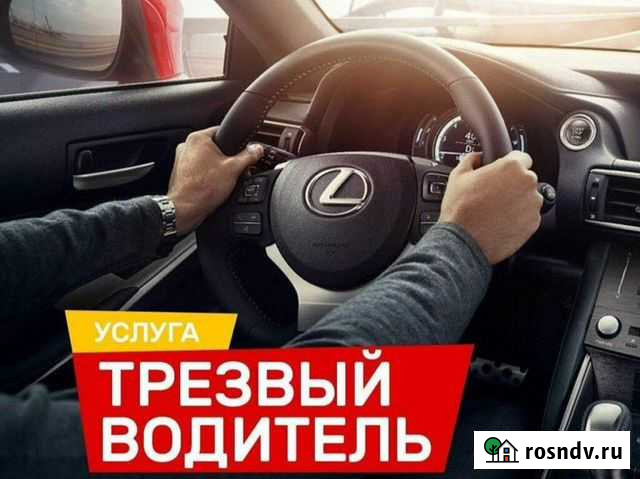 Трезвый водитель Астрахань - изображение 1