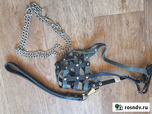 Поводок, ошейник,намордник Десногорск - изображение 1