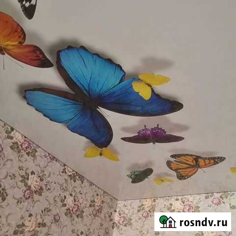 Натяжные потолки Каменск-Шахтинский - изображение 1