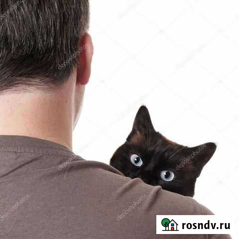 Мастер на все руки Сухой Лог - изображение 1